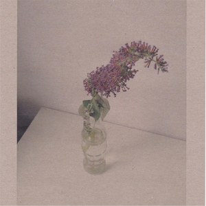 俄罗斯肥妇BBwBBwB站
